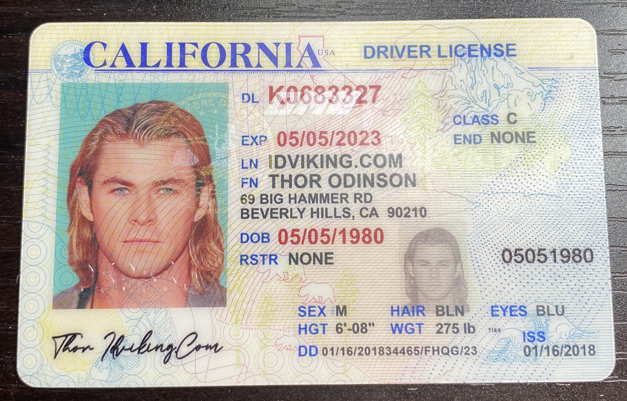 Driver Licenses Theme Editable PSD Layouts