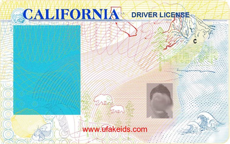 california-state-id-template-bewerki